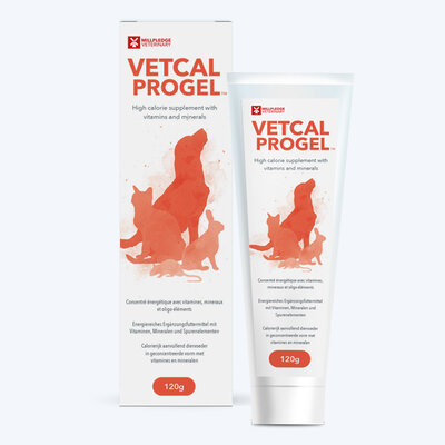 Vetcal Progel 2023